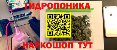 спиды Новодвинск