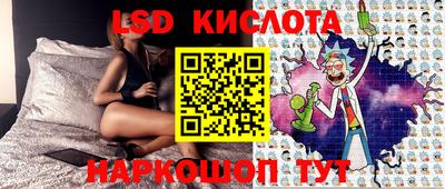 спиды Новодвинск