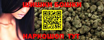 спиды Новодвинск